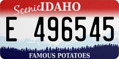 ID license plate E496545