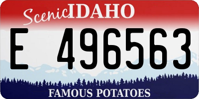 ID license plate E496563