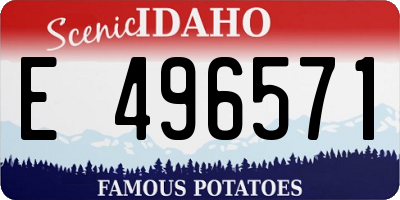 ID license plate E496571
