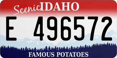 ID license plate E496572