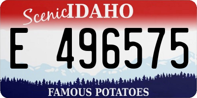 ID license plate E496575