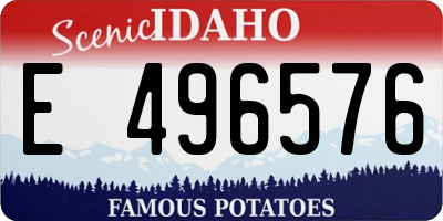 ID license plate E496576