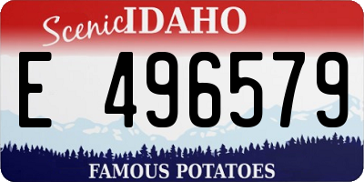 ID license plate E496579