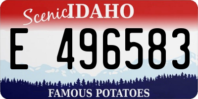 ID license plate E496583