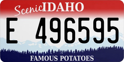 ID license plate E496595