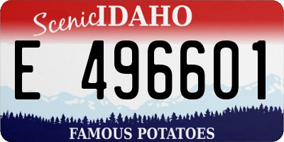 ID license plate E496601