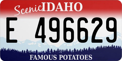 ID license plate E496629