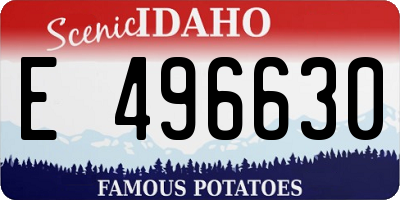 ID license plate E496630