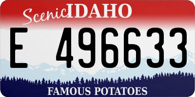 ID license plate E496633