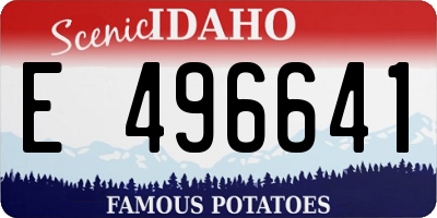 ID license plate E496641