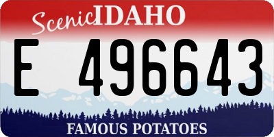 ID license plate E496643