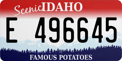 ID license plate E496645