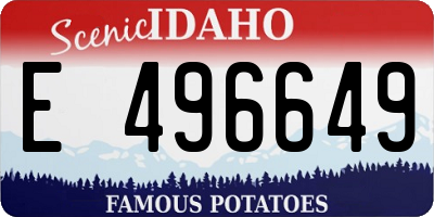ID license plate E496649