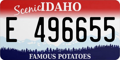 ID license plate E496655