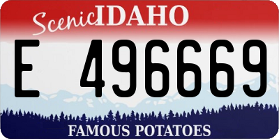 ID license plate E496669