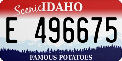 ID license plate E496675