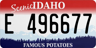 ID license plate E496677