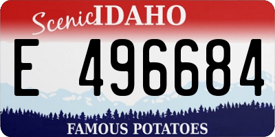 ID license plate E496684