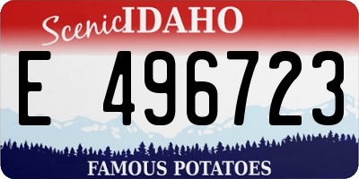 ID license plate E496723