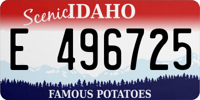 ID license plate E496725