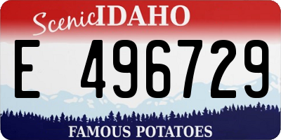 ID license plate E496729