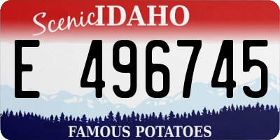 ID license plate E496745