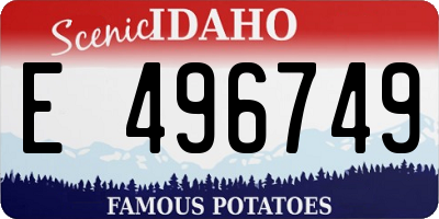 ID license plate E496749