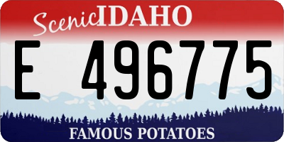 ID license plate E496775