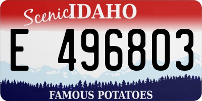 ID license plate E496803