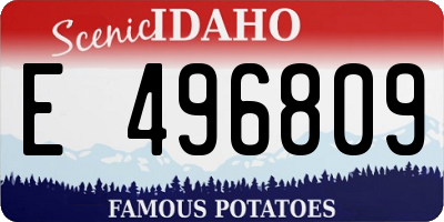 ID license plate E496809