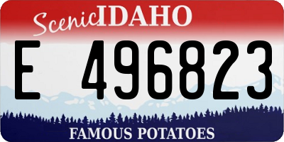 ID license plate E496823