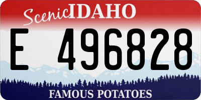ID license plate E496828