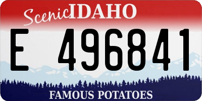 ID license plate E496841