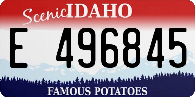 ID license plate E496845