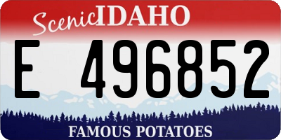 ID license plate E496852