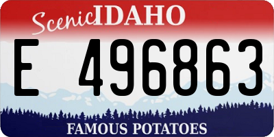 ID license plate E496863