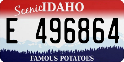 ID license plate E496864