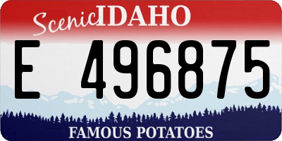 ID license plate E496875