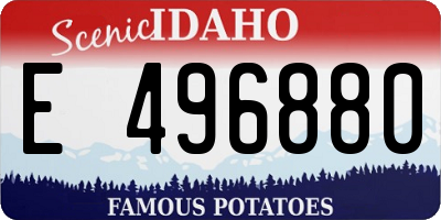 ID license plate E496880