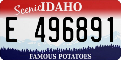 ID license plate E496891