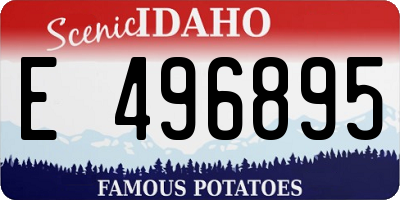 ID license plate E496895