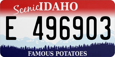 ID license plate E496903