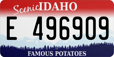 ID license plate E496909