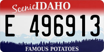 ID license plate E496913