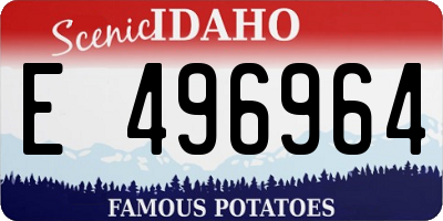 ID license plate E496964