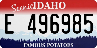 ID license plate E496985