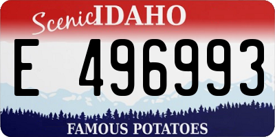 ID license plate E496993
