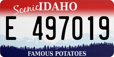 ID license plate E497019
