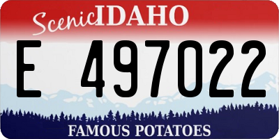 ID license plate E497022