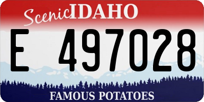 ID license plate E497028